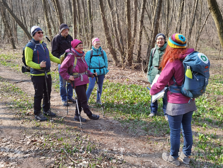 Wandergruppe - Leithaberg-Wanderung März 2024