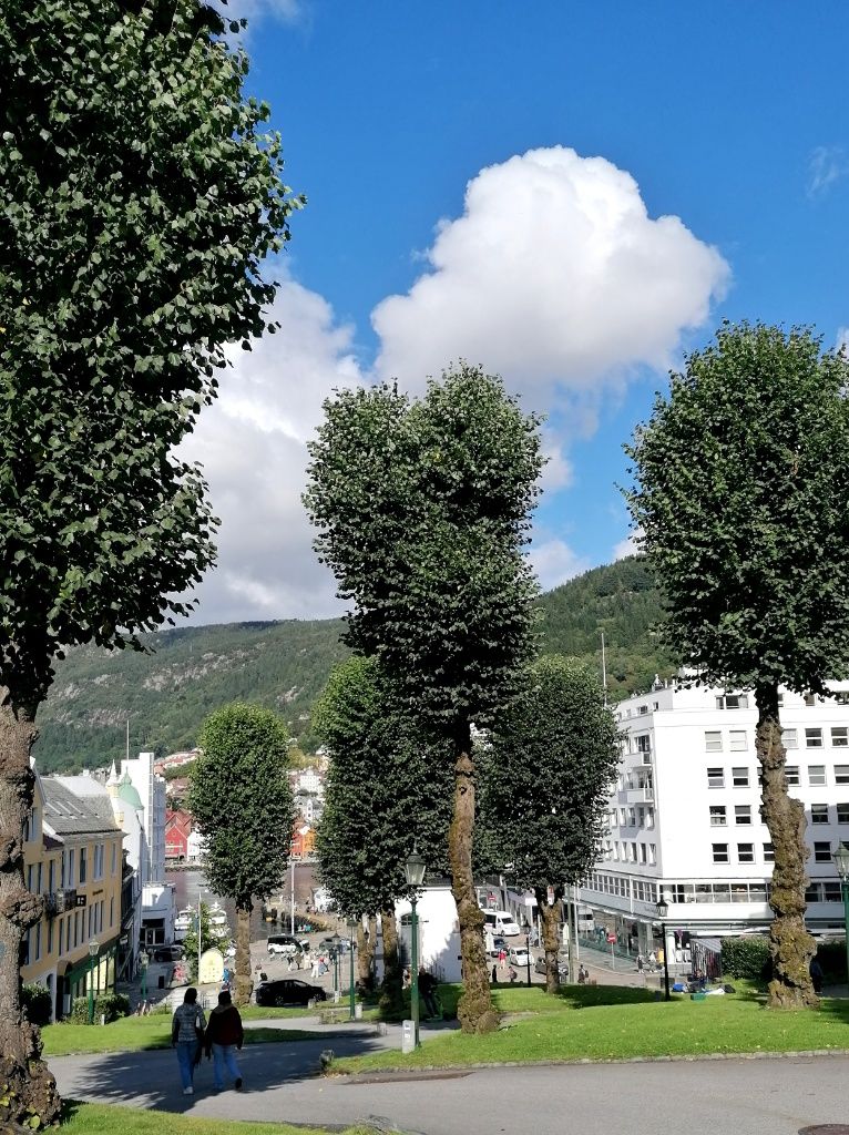 Blick von einer Anhöhe über einen Stadtteil. Im Vordergrund Bäume, im Hintergrund Berge.