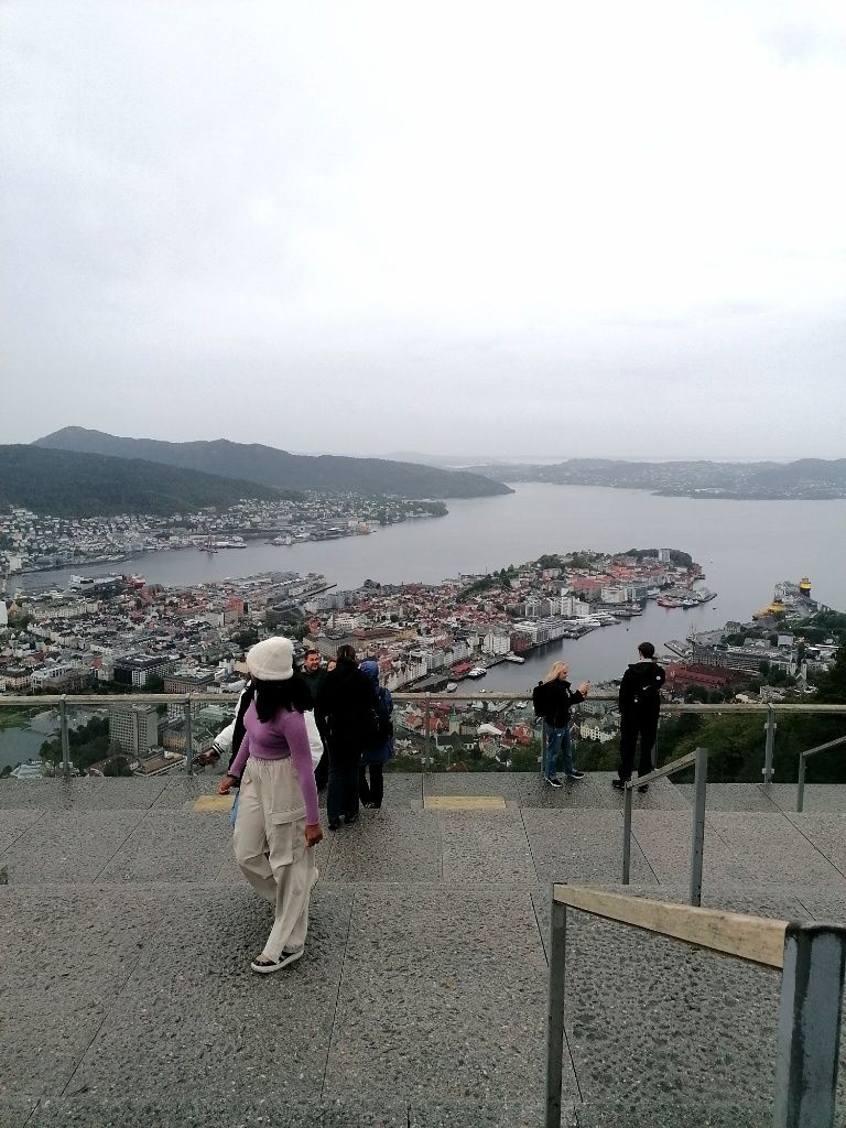 Ausblick über die Stadt Bergen: winzige Häuser und Meeresarme die ins Land hineinreichen.