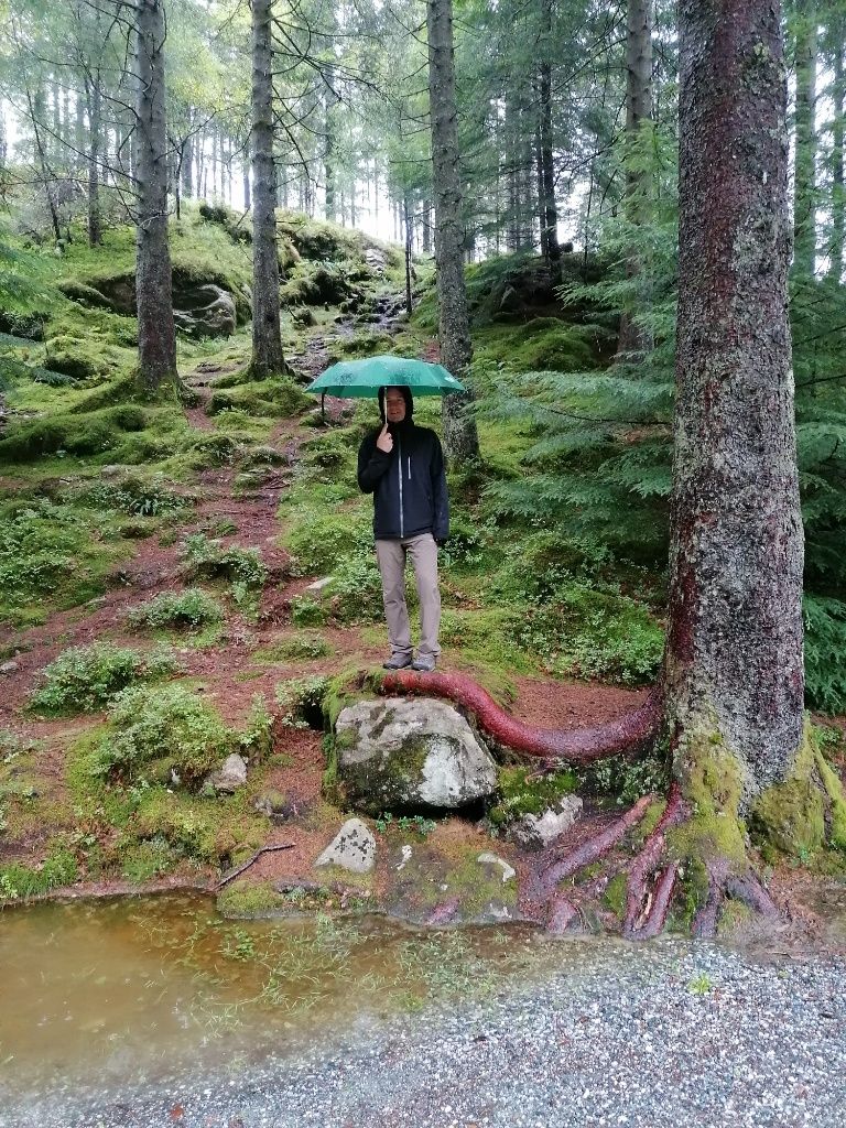 Seppi steht mit Regenschirm auf riesiger Baumwurzel, die sich über einen kleinen Felsen schmiegt.