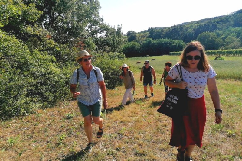 Fünf Menschen gehen eine Wiese hinauf