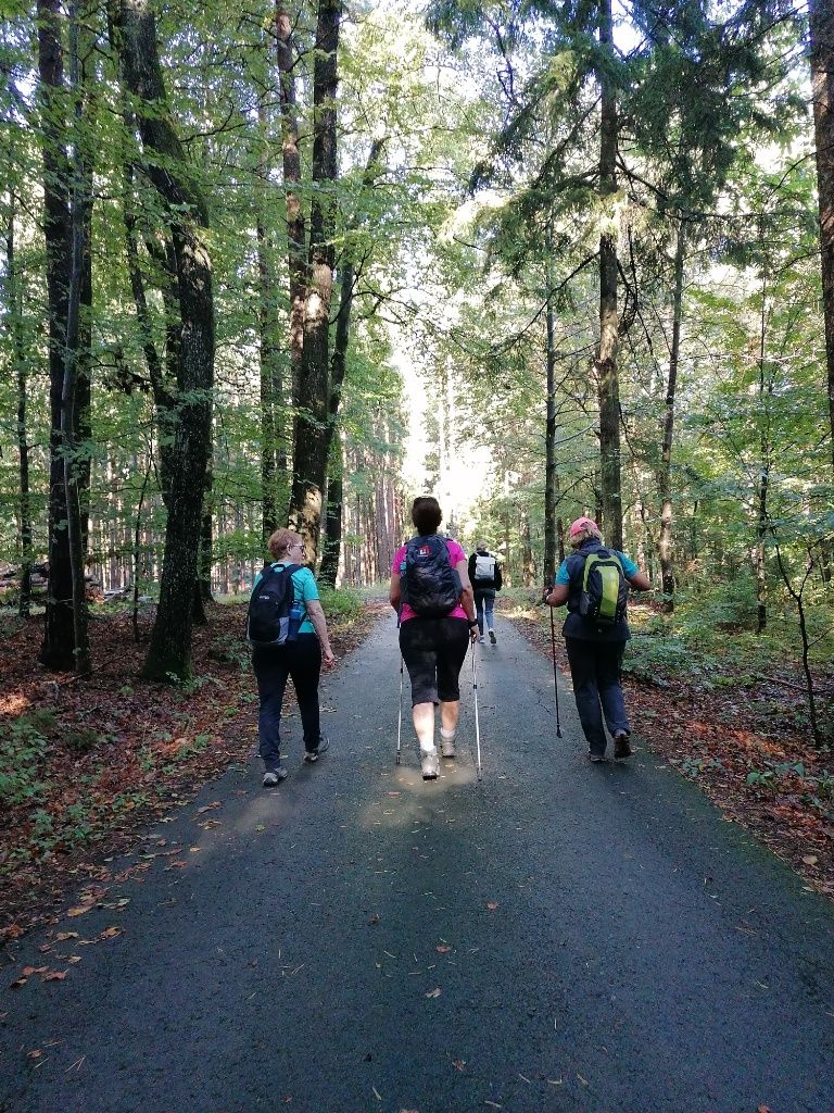 Wandergruppe durch den Wald Richtung Schloss Kapfenstein