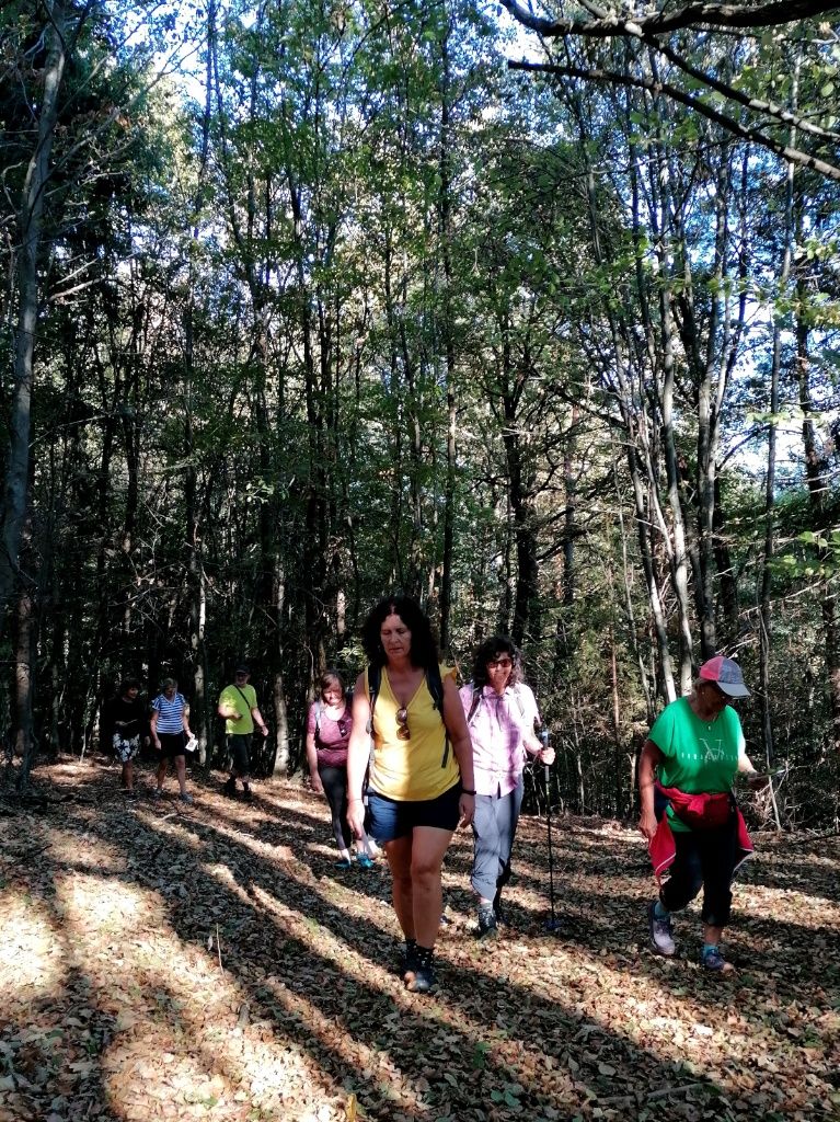 Gruppe im Wald