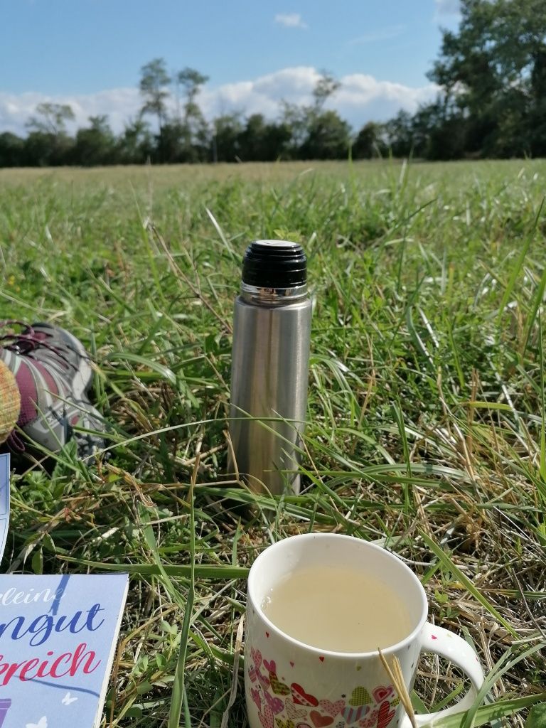 Teehäferl, Thermoskanne und Buch auf der Wiese.