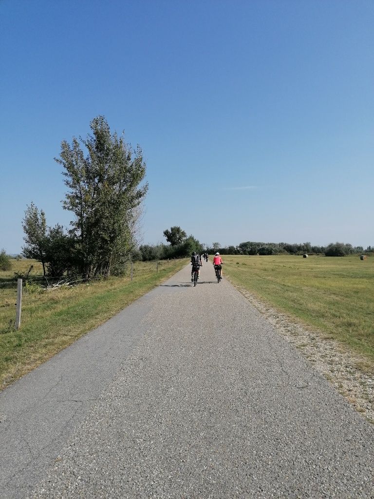 Radweg, links und rechts davon Wiese, in der Ferne zwei Radfahrer