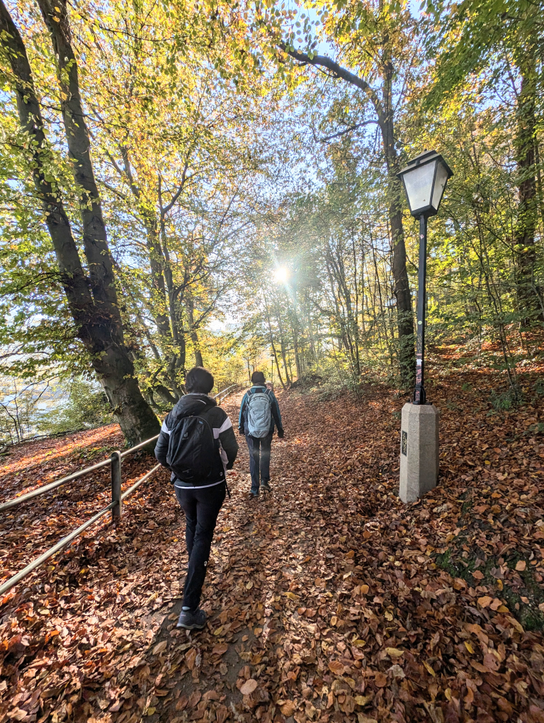 Zwei Teilnehmerinnen von hinten entlang des herbstlichen Waldweges