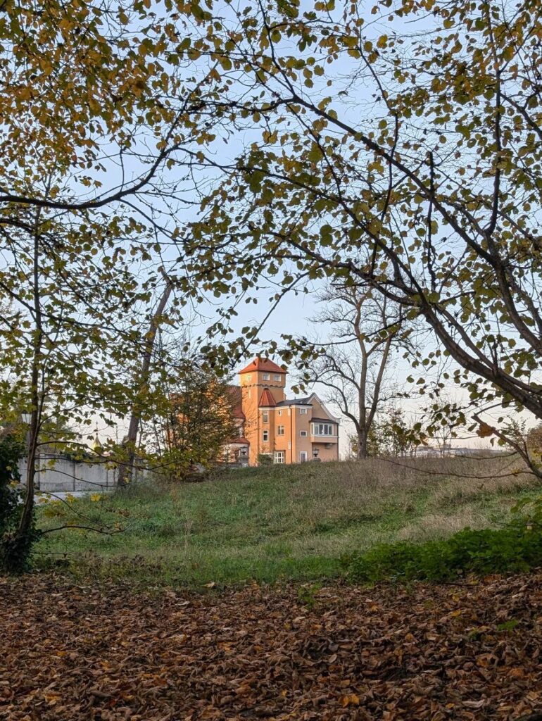 Blick durch den Wald auf das Hotel Mönchstein